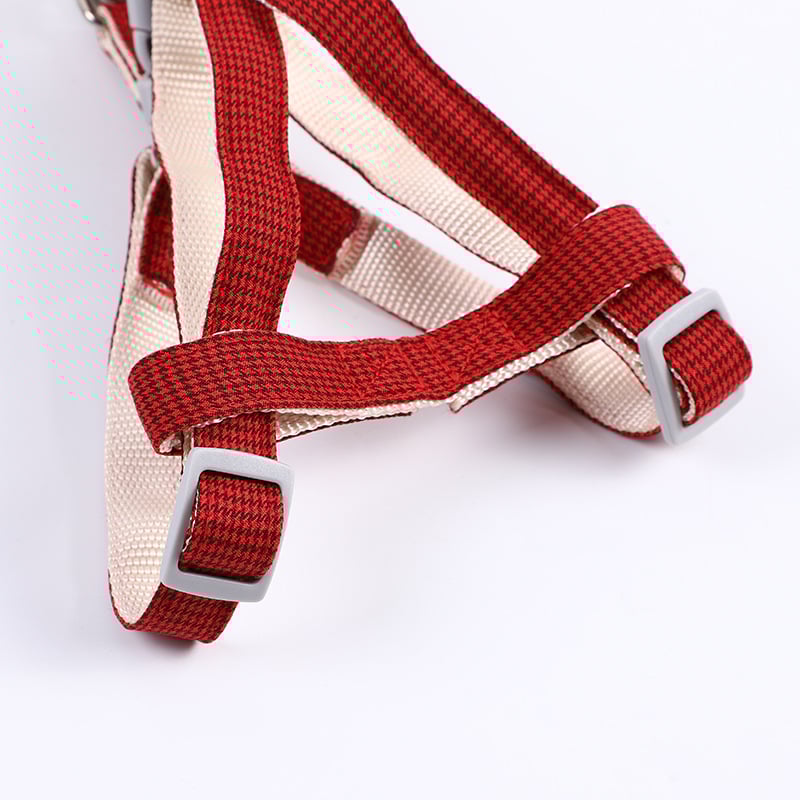 Set harnais-laisse Stella